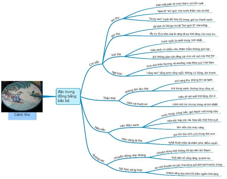 sơ đồ tư duy câu cá mùa thu sơ đồ tư duy câu cá mùa thu