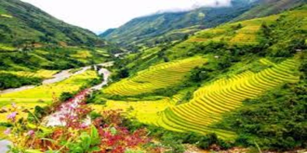 Hệ thống kiến thức bài thơ Việt Bắc 3 Hệ thống kiến thức bài thơ Việt Bắc