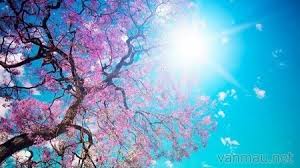So sánh Vội Vàng và Từ Ấy dàn ý chi tiết 1 Dàn ý so sánh đoạn thơ sau trong Vội Vàng và Từ Ấy