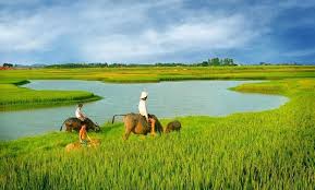 Đề thi Đất Nước theo hướng mới năm 2023 1 Đề thi Đất Nước theo hướng mới năm 2023